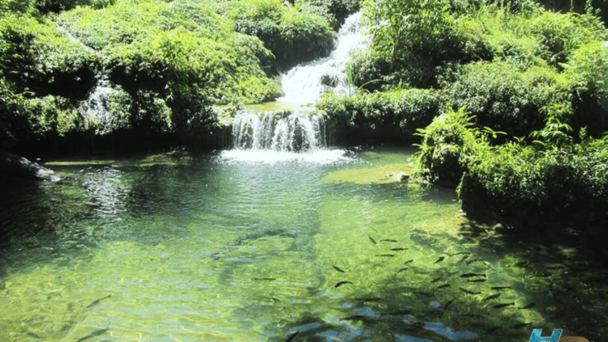 Cachoeira, Bonito em Pernambuco