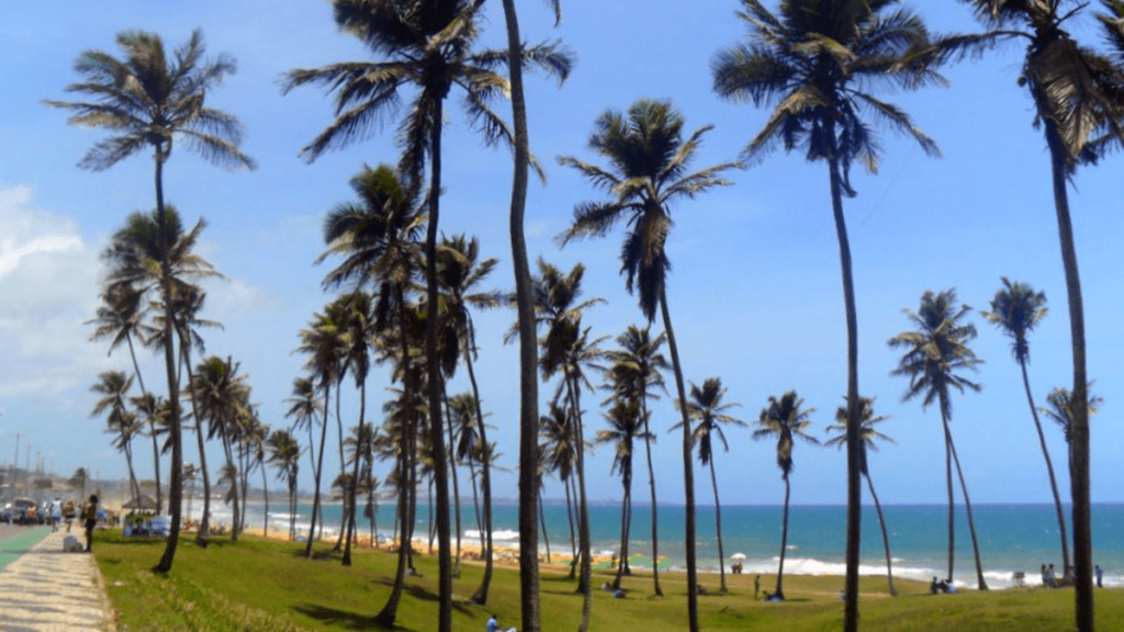 Praia da Armação