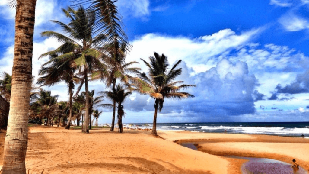 Praia de Stella Maris