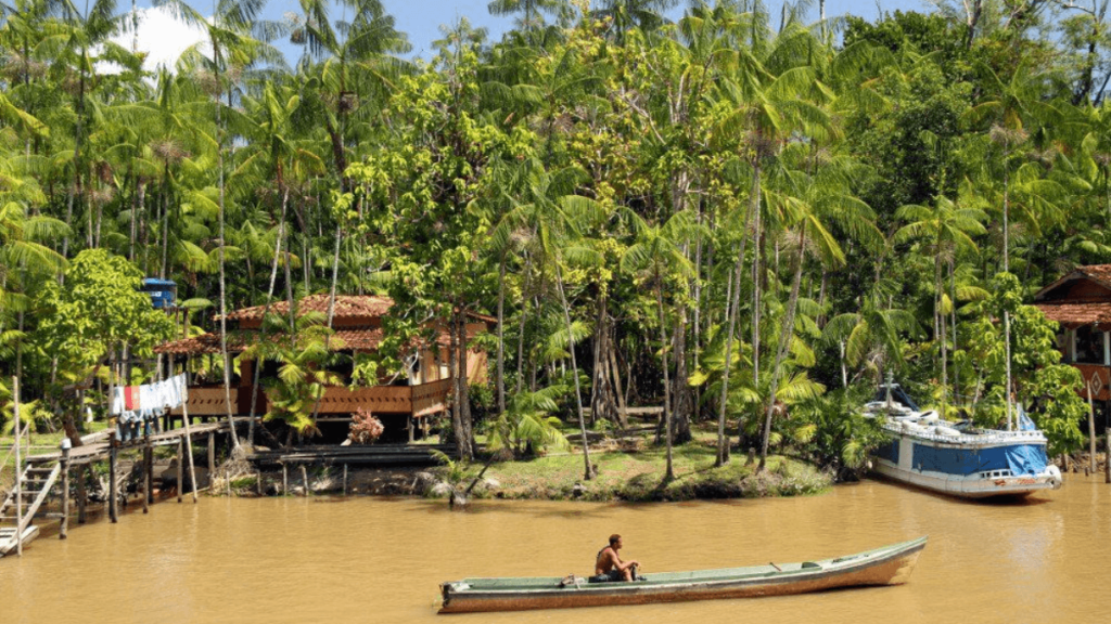 Ilha do Combu