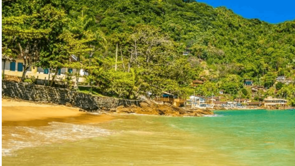 Picinguaba