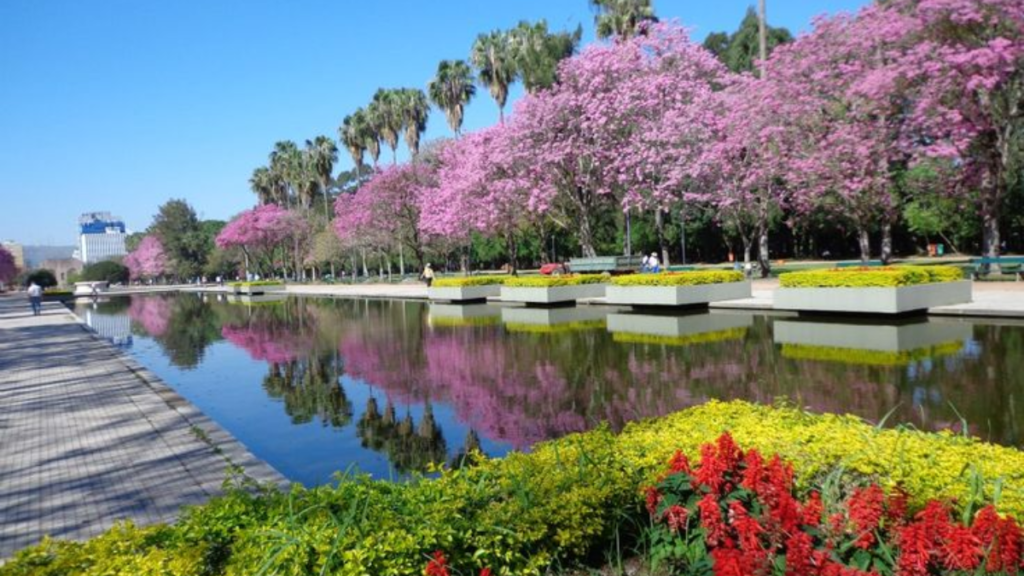 Veja Pontos Turísticos de Porto Alegre