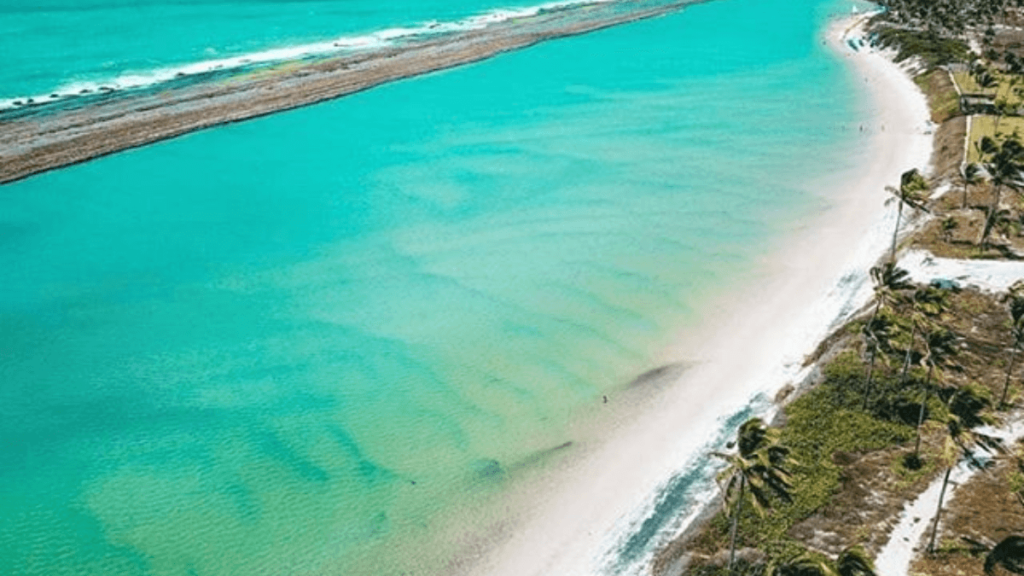 Conheça Porto de Galinhas