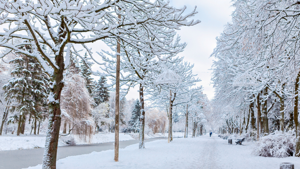 Neve no Brasil Descubra lugares onde é possível encontrar!