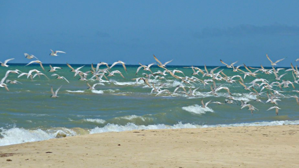 Ponta de Corumbau
