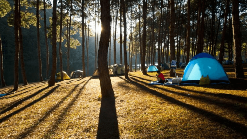 Veja Lugares para Acampar em São Paulo