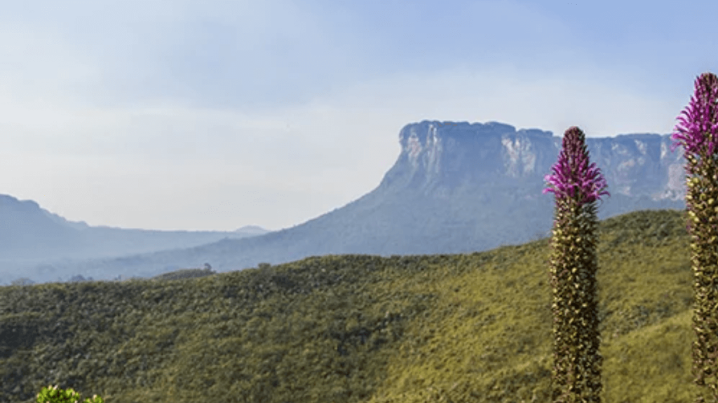 Parque Nacional da Chapada Diamantina