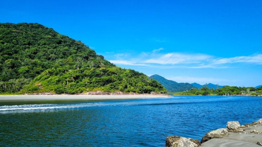 Guaraú