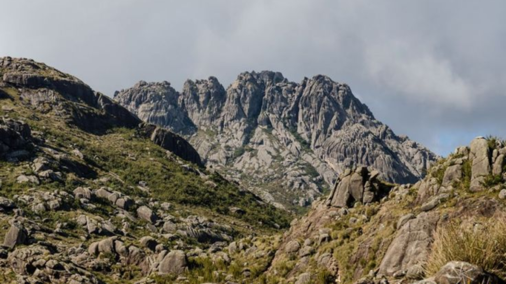 Conheça Pico das Agulhas Negras