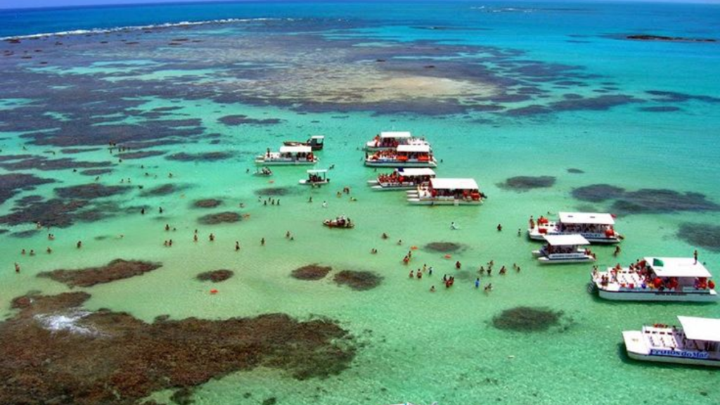 Melhores praias de Alagoas