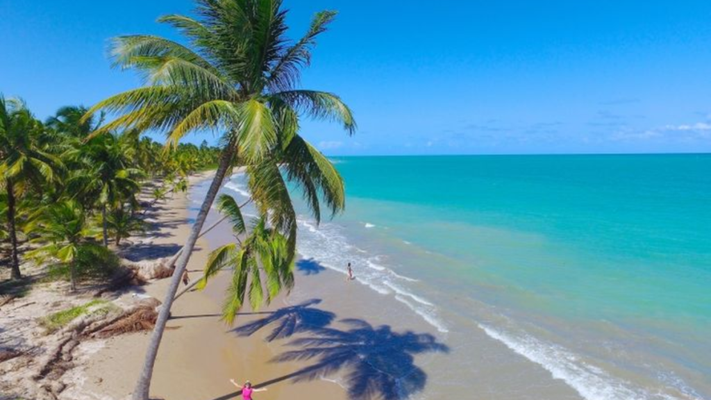 Conheça Melhores praias de Alagoas