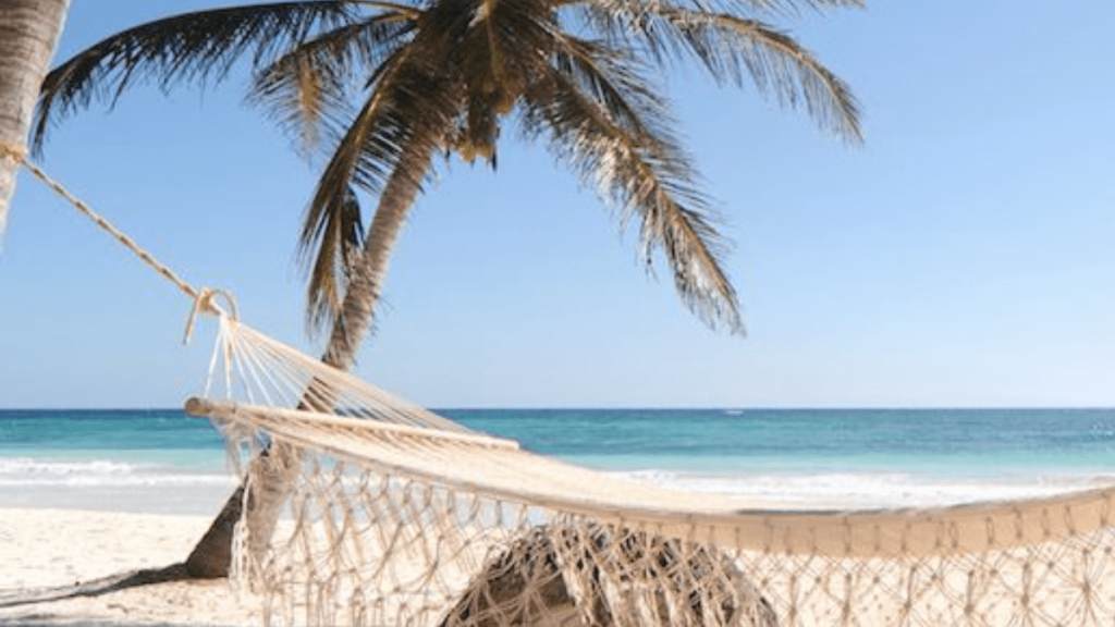 Praia com o mar cristalino, coqueiro e redes para relaxar.