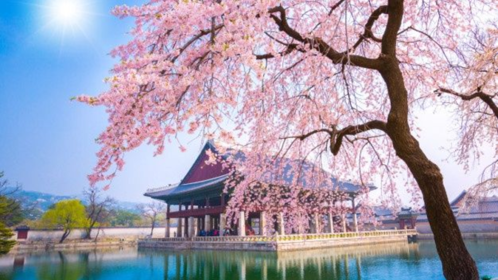 Conheça Coreia do Sul