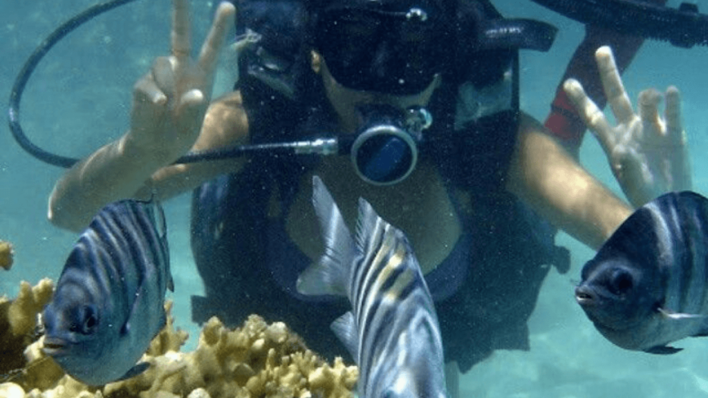 Passeios para casal em Maragogi - Turista mergulhando no mar turquesa de Maragogi: Passeios em Casal