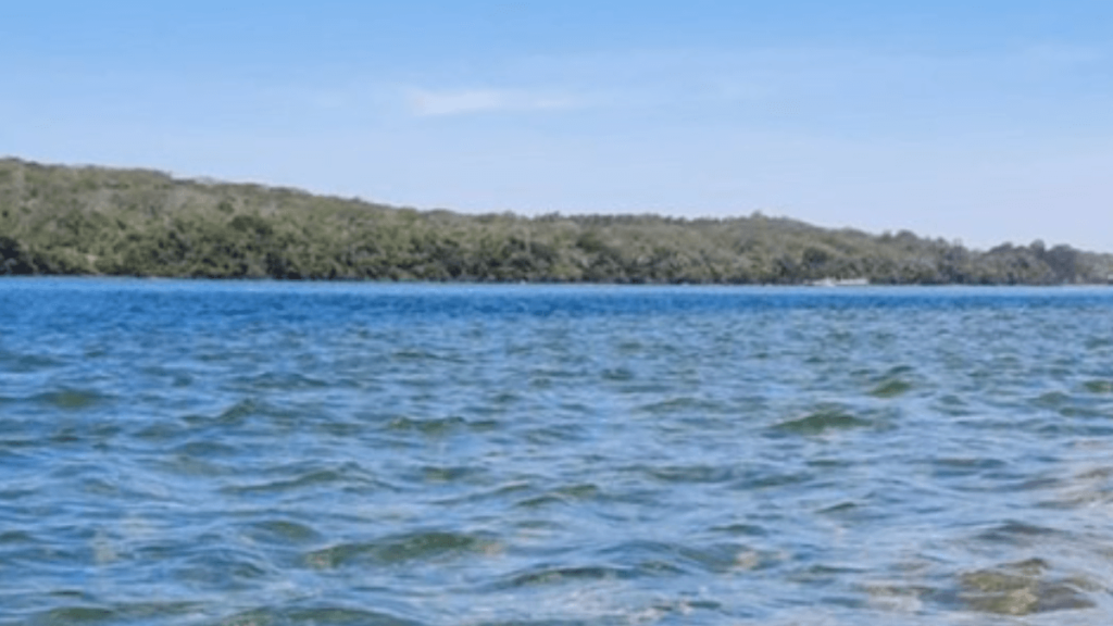 Águas transparentes com vegetação em Porto Rico no Parana