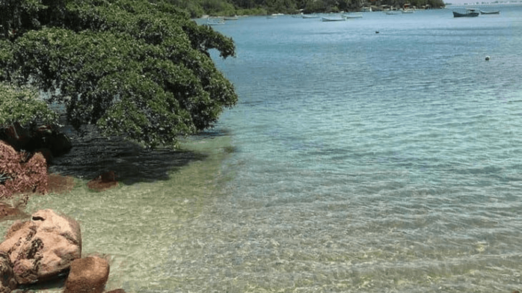 praia de Ribeirão da Ilha, com pedras, vegetação e e aguas transparentes.