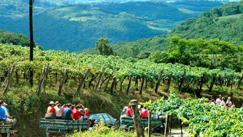 Conheça Vale dos Vinhedos