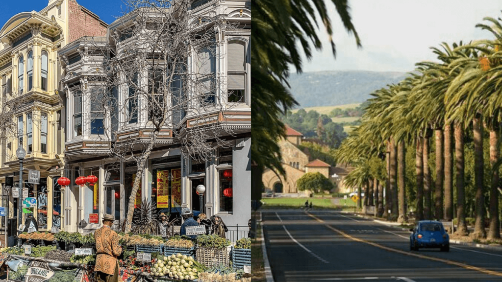 cidade de palo alto, casas com vários andares, feiras e turistas e uma foto de uma estrada com coqueiros em volta.