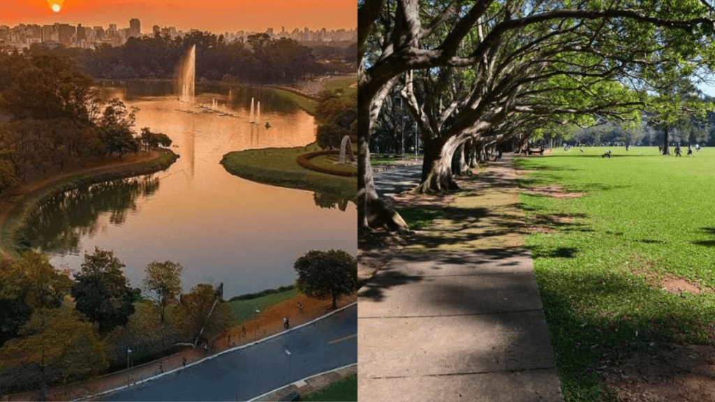visão panorâmica do lago com chafariz no parque Ibirapuera e a sua grande variedade de arvores