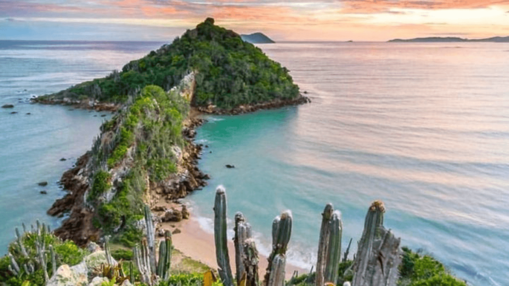 Visão panorâmica de Búzios, vegetação verde e densa com mar azul