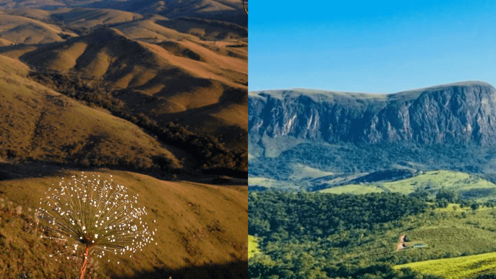 visão das belas vegtações e montanhas da serra da canastra