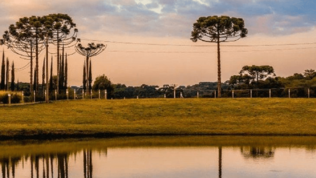 muitos chalés na serra gaúcha possuem essa vista, com araucárias, lagos e uma boa vista do por do sol