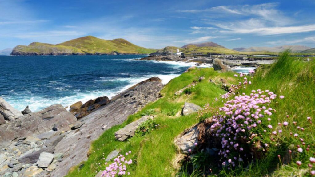 Anel de Kerry