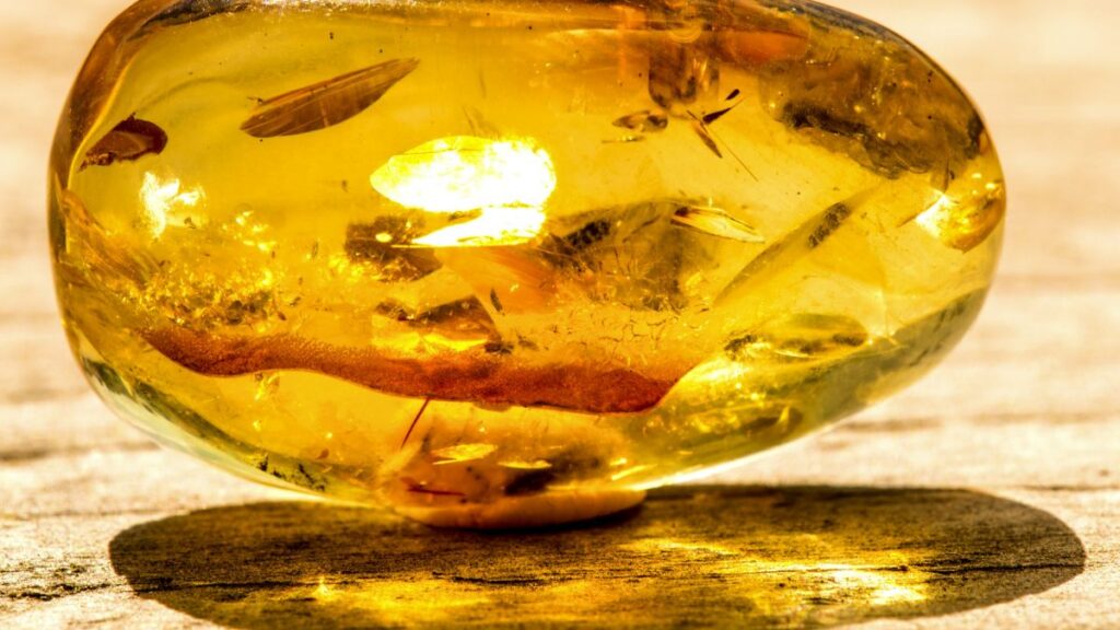 Âmbar: O "Ouro Lituano"