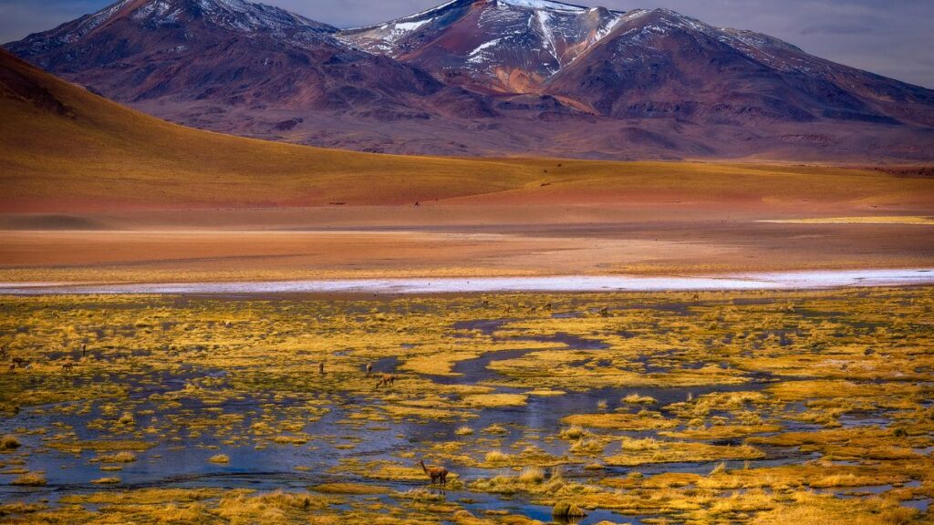 Chile o que conhecer: Pontos turísticos + dicas de viagens!