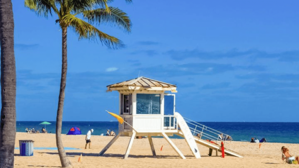 praia da florida com coqueiros e casa branca de salva vidas na areia