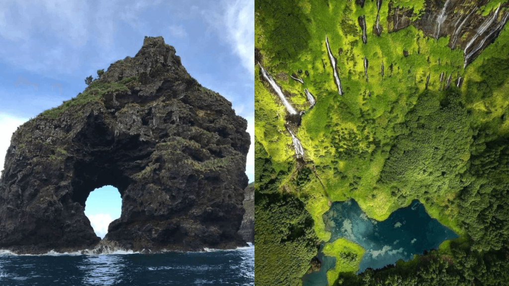 ilhas das flores rocha no mar e muita vegetação verde
