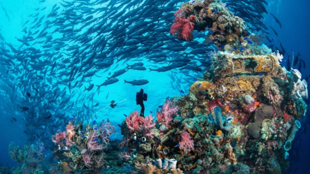 Micronésia: Chuuk