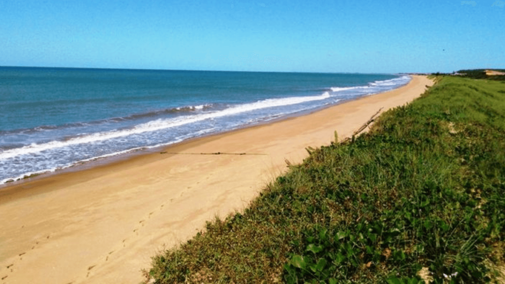 praia com mar azul e vegetação na beira da areia