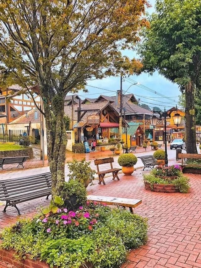 O Que Fazer em Monte Verde: 5 Coisas que você não pode deixar passar!