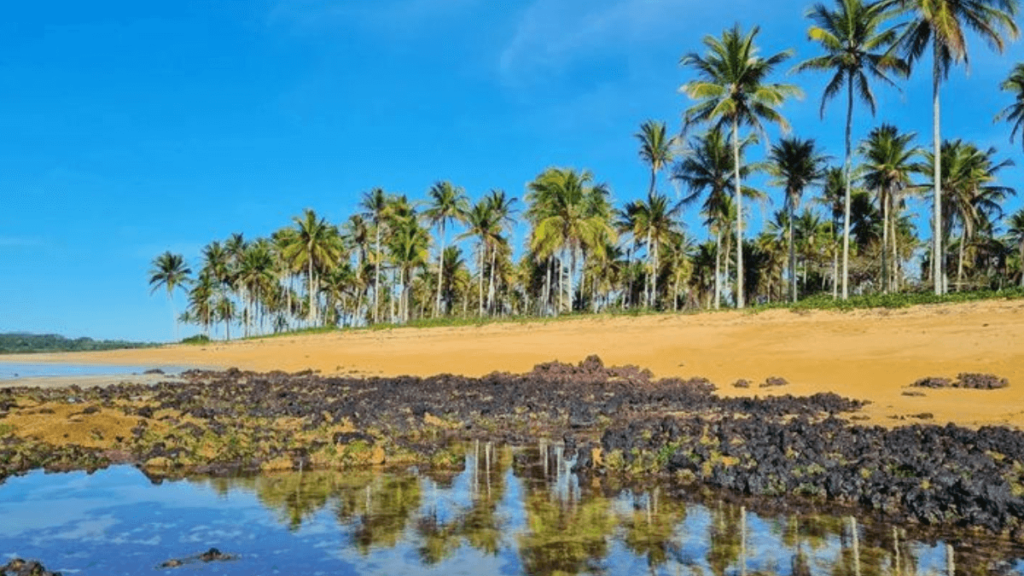 Praia do coqueiral, rodeada de coqueiros, mar azul e limpo