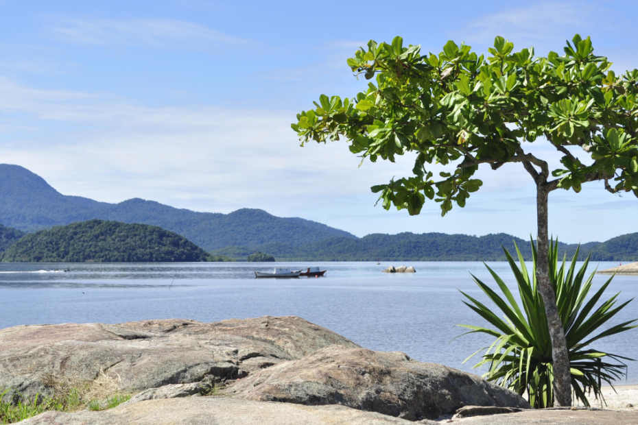 Paisagem em Antonina