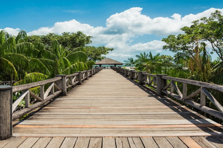 caminho em Mangal das Garças