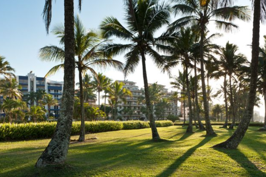 Coqueiros em Riviera de São Lourenço