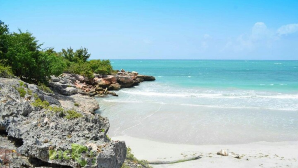 Melhores praias em Cancún: Playa Ballenas