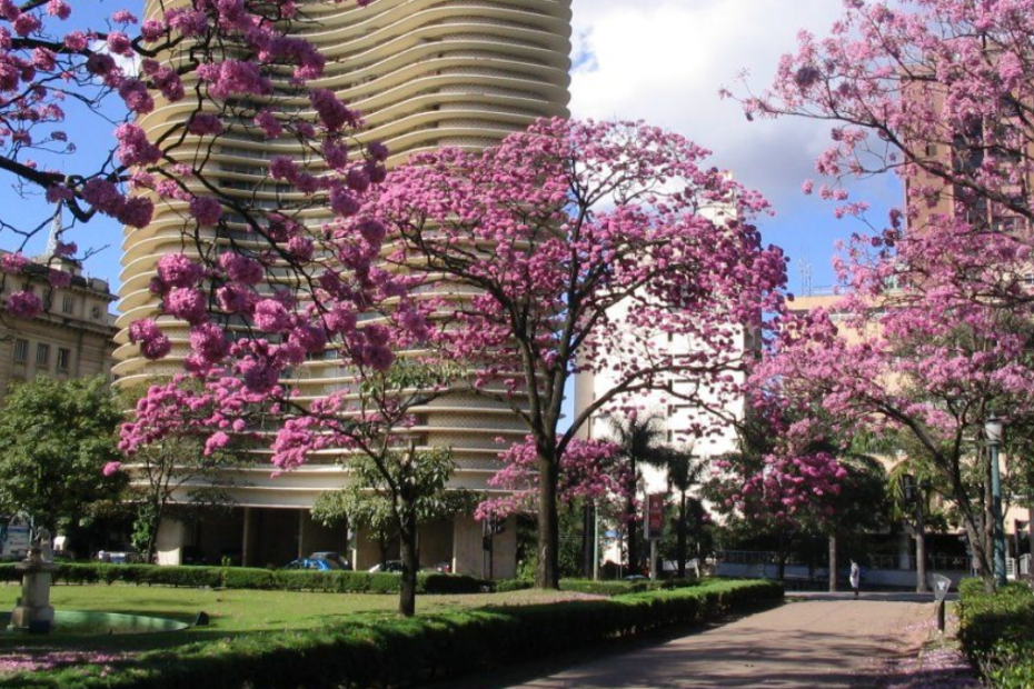 Pontos Turísticos em BH: Praça da Liberdade