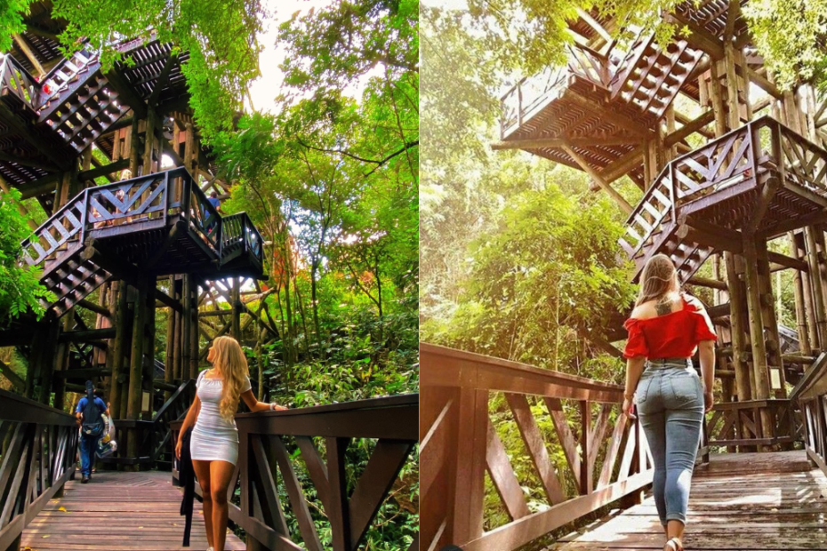 Conheça o Bosque Alemão