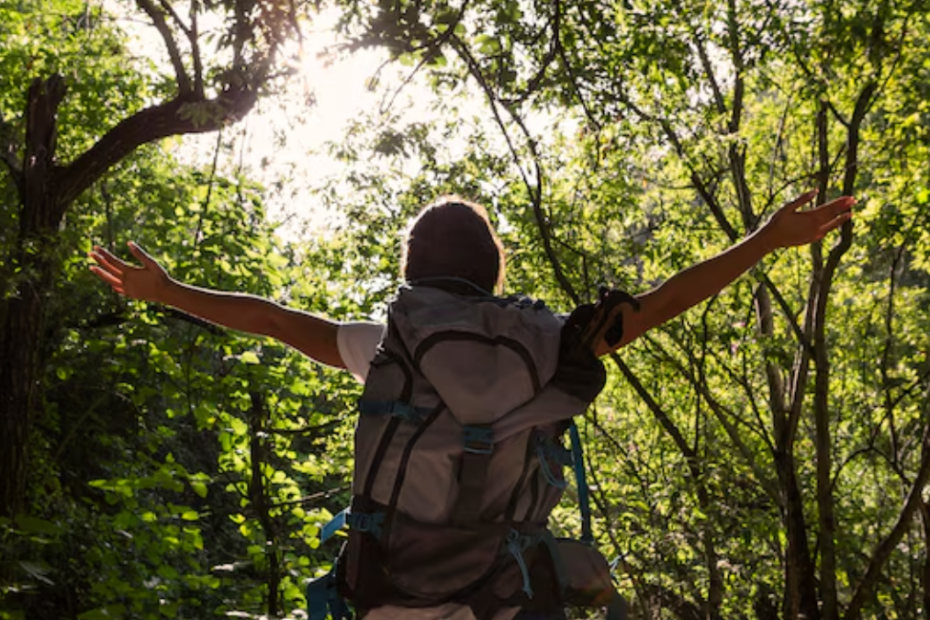 Conheça o Ecoturismo