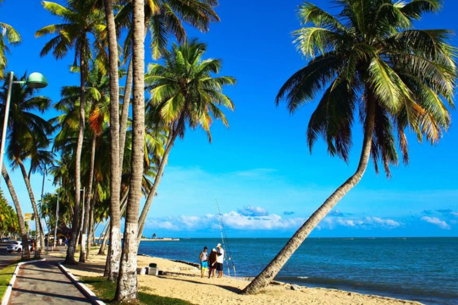 Conheça os melhores Passeios em Maceió