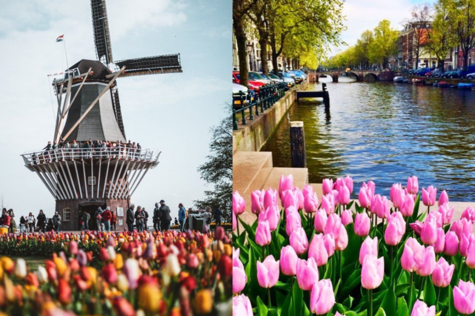 Moinho em Keukenhof