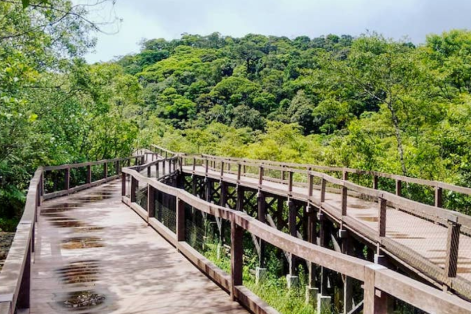 Descubra tudo sobre Parque ecológico Imigrantes