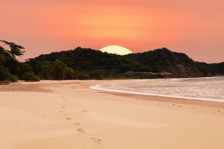 uma praia com uma floresta de fundo e um por do sol