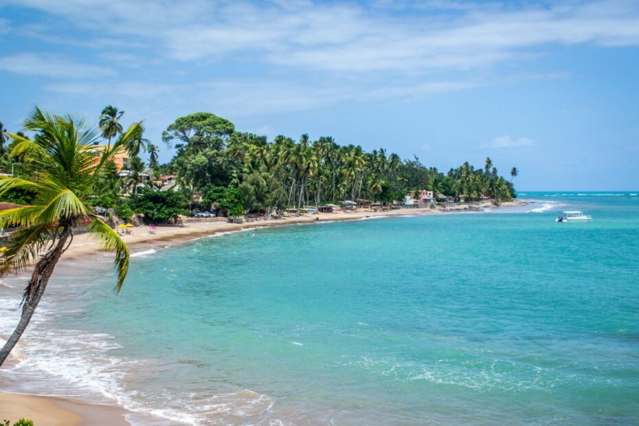 Melhores praias do Nordeste: Uma praia do Nordeste com uma palmeira na frente.