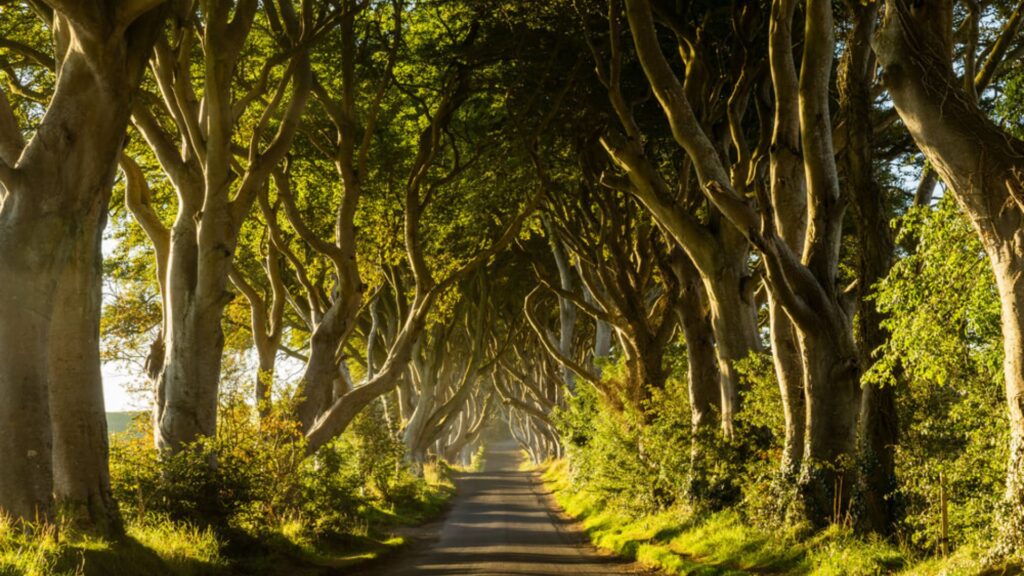 Antrim Road na Irlanda do Norte e da série Escola do Bem e do Mal.
