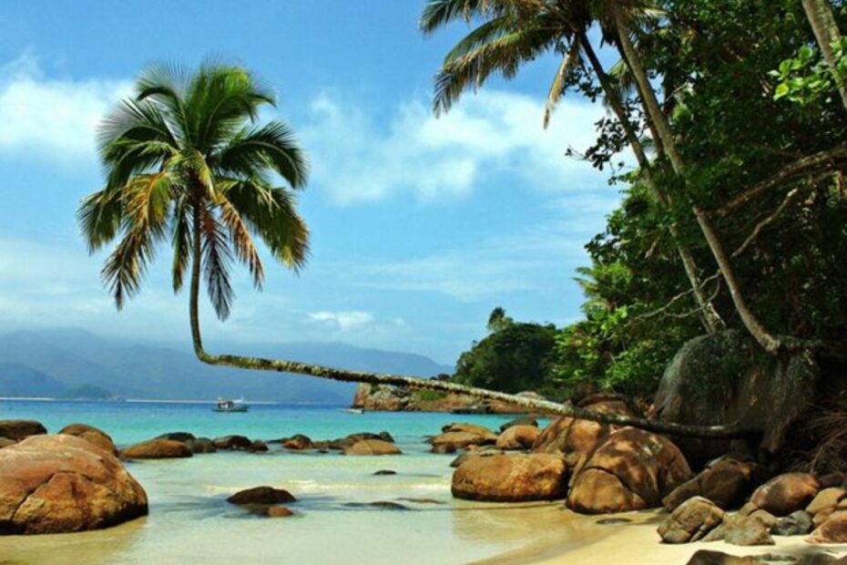 Coqueoiro famoso em Ilha Grande no Rio de Janeiro.