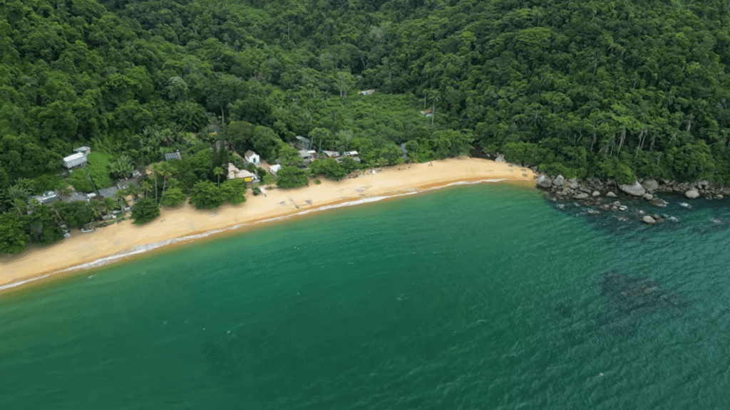 Mar na cor verde água bem calmo e sem ondas com uma mata depois da praia.
